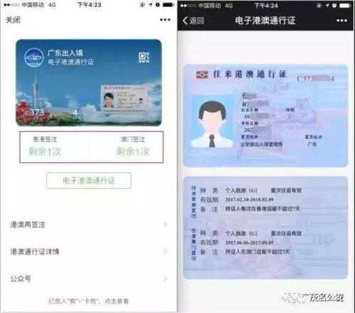 最新通行证爆料信息图片,图解关键信息与亮点  第2张 最新通行证爆料信息图片,图解关键信息与亮点  第2张