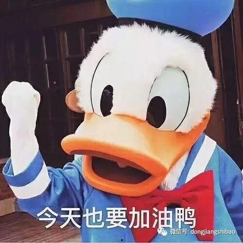 爆料鸭子吃药视频播放,网络热传鸭子吃药视频背后的真相  第3张 爆料鸭子吃药视频播放,网络热传鸭子吃药视频背后的真相  第3张
