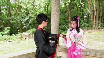 和叶美玲作品在线观看,在线观看,感受独特艺术魅力