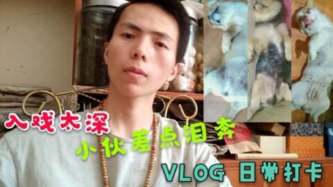 爆料潮汕赵公子视频,揭秘豪门背后的权势与争议  第2张 爆料潮汕赵公子视频,揭秘豪门背后的权势与争议  第2张