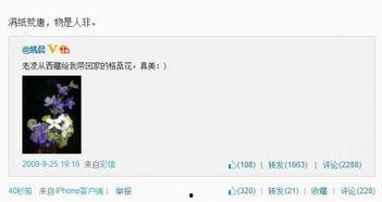 网上娱乐圈爆料都是假的,真相与谣言的交织  第2张 网上娱乐圈爆料都是假的,真相与谣言的交织  第2张