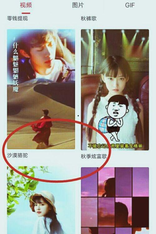 怎么爆料自己拍的视频,如何巧妙爆料你的原创视频内容  第3张 怎么爆料自己拍的视频,如何巧妙爆料你的原创视频内容  第3张