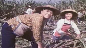 电影甜蜜的事业在线观看,浪漫喜剧的甜蜜邂逅  第2张 电影甜蜜的事业在线观看,浪漫喜剧的甜蜜邂逅  第2张