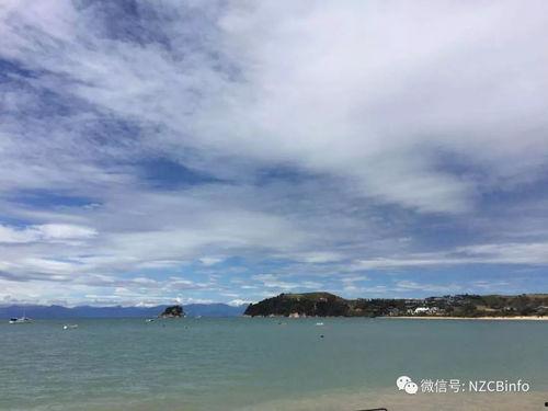碧海蓝天 在线观看,在线畅享海洋生态之美  第2张 碧海蓝天 在线观看,在线畅享海洋生态之美  第2张