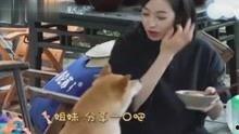 娱乐八卦爆料自制视频,自制视频爆料的惊人内幕大起底  第3张 娱乐八卦爆料自制视频,自制视频爆料的惊人内幕大起底  第3张