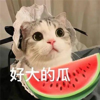 吃瓜网红被骗事件,揭秘网络诈骗背后的真相  第2张 吃瓜网红被骗事件,揭秘网络诈骗背后的真相  第2张