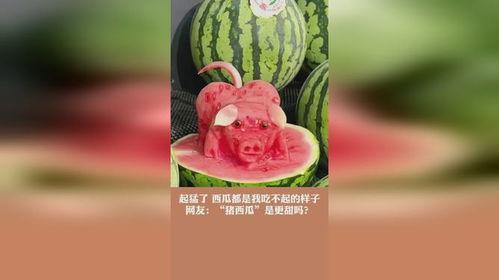 西瓜视频吃瓜猪娱乐,西瓜视频热门搞笑内容盘点  第3张 西瓜视频吃瓜猪娱乐,西瓜视频热门搞笑内容盘点  第3张