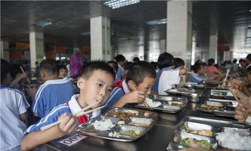 家长爆料食堂视频播放大全,食堂视频大全揭露校园饮食真相  第2张 家长爆料食堂视频播放大全,食堂视频大全揭露校园饮食真相  第2张